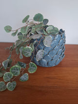 NEW SPRING LINE - Petal Plant Pot