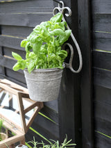 French style wall planter