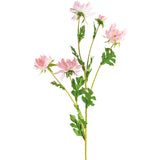 Artificial Blush Pink Daisy Flower Stem
