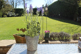 Artificial Lavender Plant Pot
