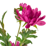 Artificial Sweet Pink Daisy Flower Stem