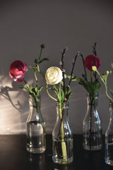 Old School Bottles with lids