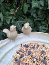 NEW SPRING LINE - Cotswold Bird Bath