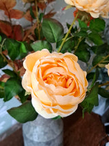 Peony Flower Stem - Creamy Yellow