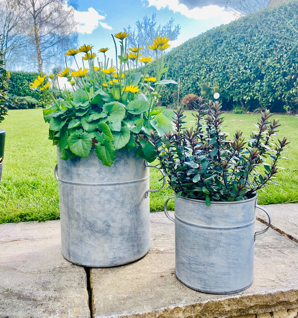 A pair of Zinc Garden Tubs