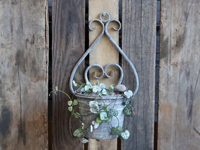 French style wall planter