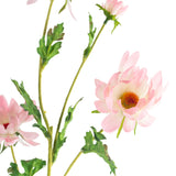 Artificial Blush Pink Daisy Flower Stem