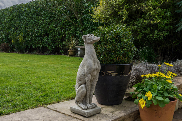 Sitting Whippet dog statue