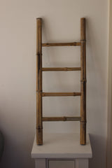 Chic interior ladder