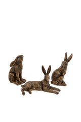 A triplet of Hares