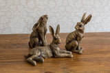 A triplet of Hares
